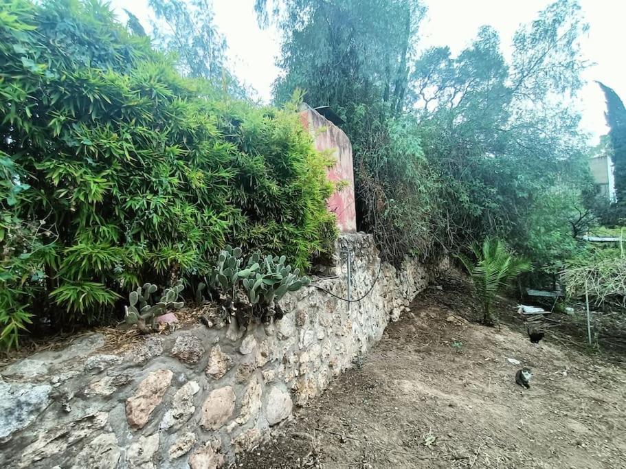 Casa Rural En El Campo Con Animales, Piscina Y Barbacoa Альмодовар-дель-Рио Экстерьер фото