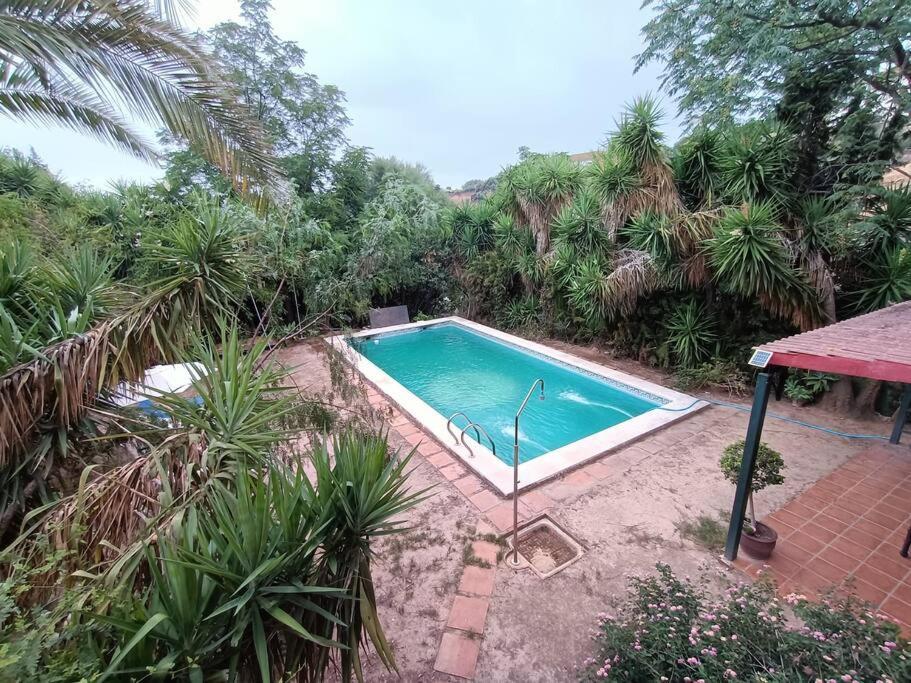 Casa Rural En El Campo Con Animales, Piscina Y Barbacoa Альмодовар-дель-Рио Экстерьер фото