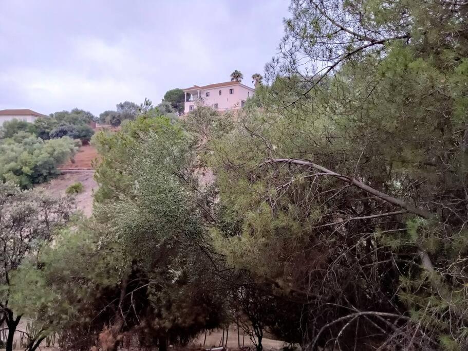 Casa Rural En El Campo Con Animales, Piscina Y Barbacoa Альмодовар-дель-Рио Экстерьер фото