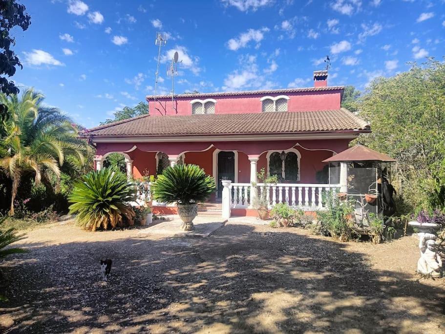 Casa Rural En El Campo Con Animales, Piscina Y Barbacoa Альмодовар-дель-Рио Экстерьер фото