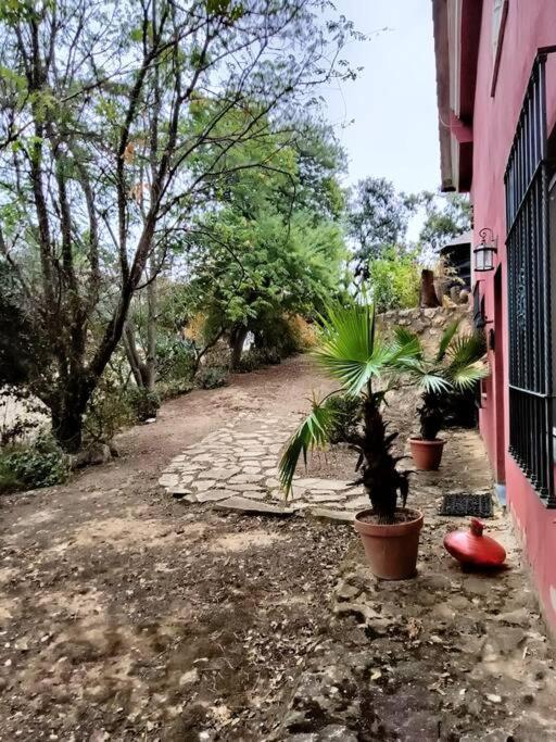 Casa Rural En El Campo Con Animales, Piscina Y Barbacoa Альмодовар-дель-Рио Экстерьер фото